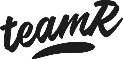 Logo-Teamr